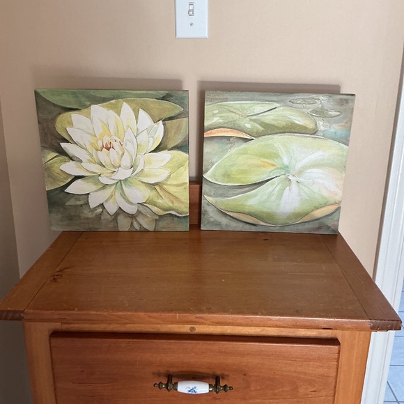 Lily Pad Pictures - Picture 9 of 9